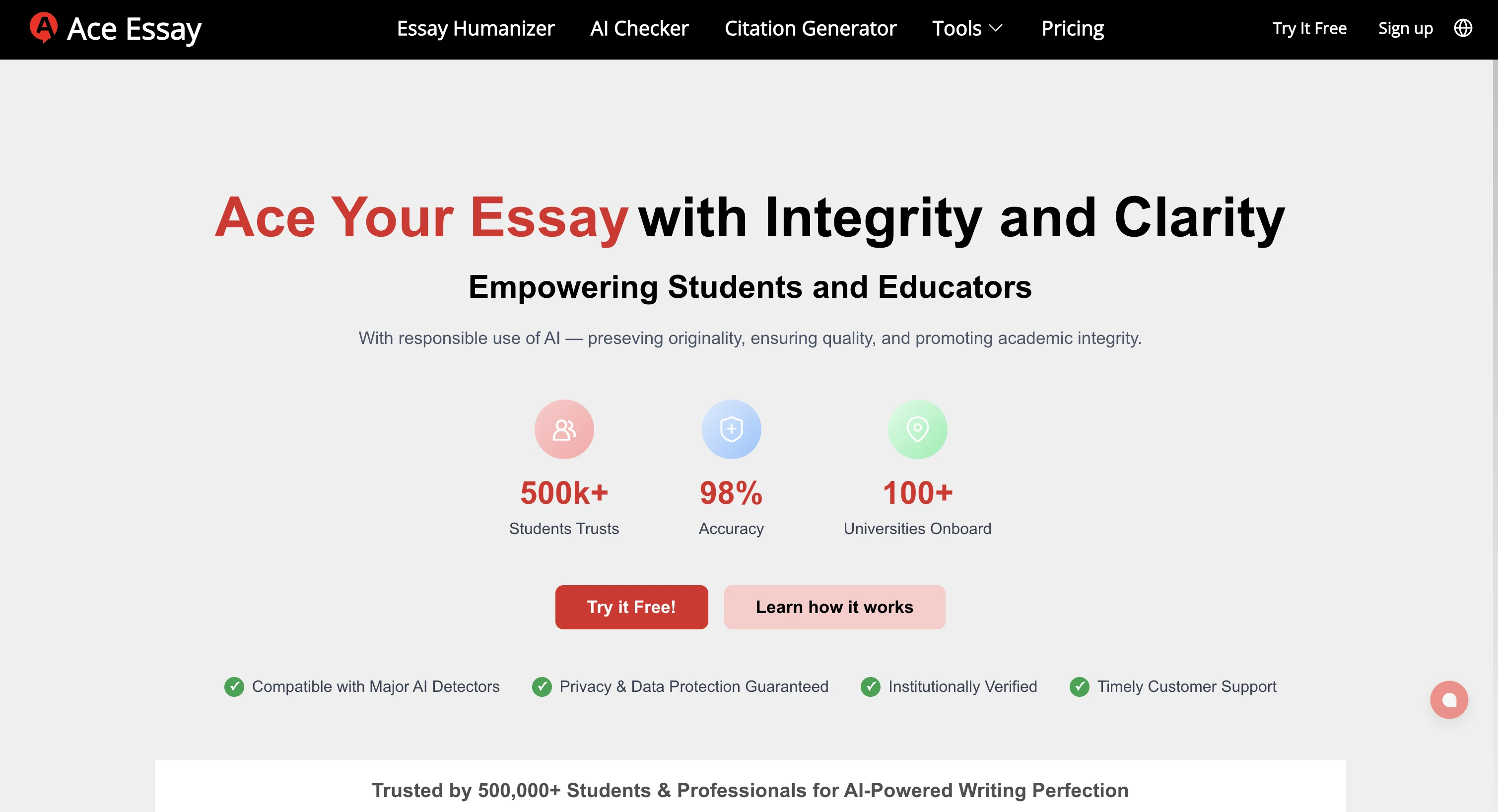 Ace Essay homepage